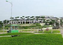 Trồng cây xanh tại Park City Hà Nội