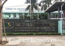 Trồng cây xanh tại Công Ty Bao Bì và In Nông Nghiệp.